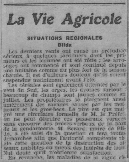 19120522-Agriculture_01.jpg