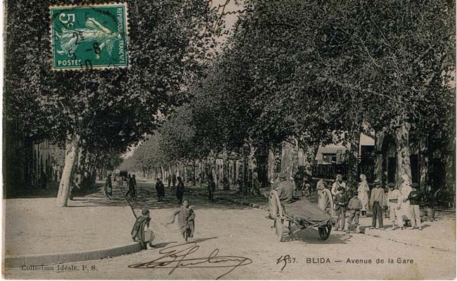 Avenue de la gare à Blida