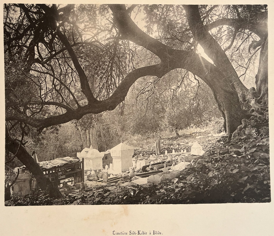 P6.jpg