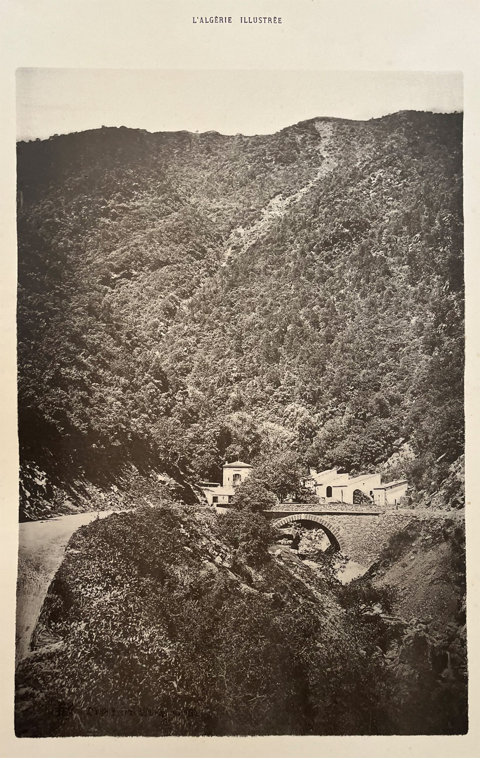p10.jpg