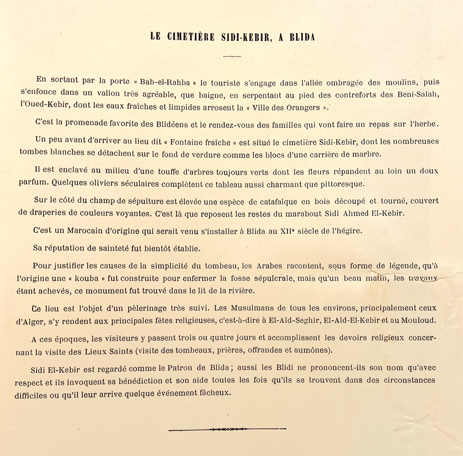 p5.jpg