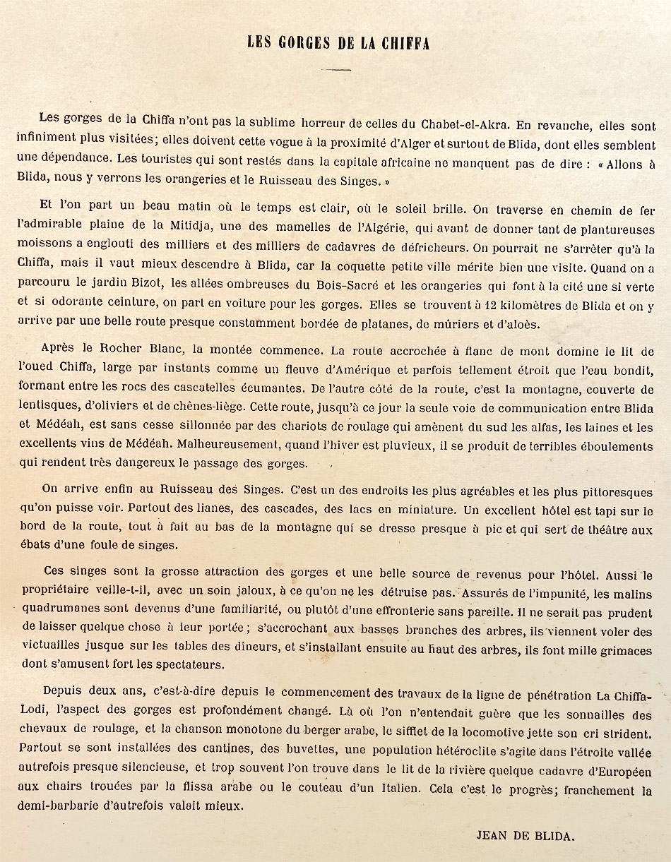 p7.jpg