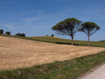 castres009.jpg