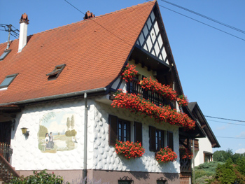J11-SDC10343.jpg