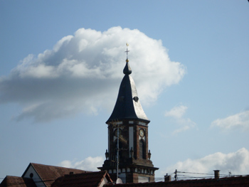 J11-SDC10346.jpg