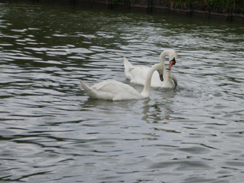 J11-SDC10371.jpg