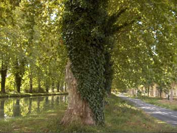 canal095.jpg