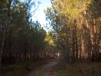 HPIM0623.JPG