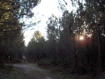 HPIM0624.JPG