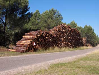 HPIM0665.JPG