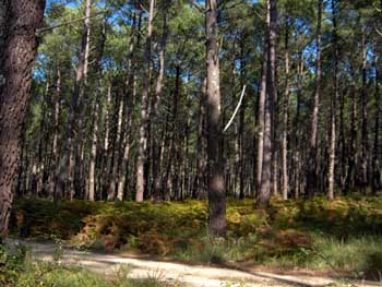HPIM0668.JPG